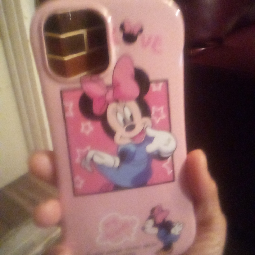 case for iphone 12 promax